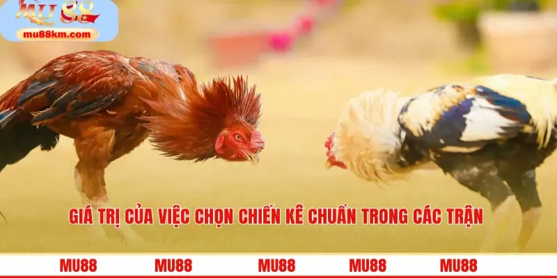 Giá trị của việc chọn chiến kê chuẩn trong các trận 
