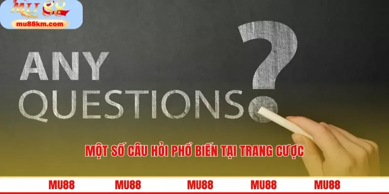 Câu Hỏi Thường Gặp MU88 Giải Đáp Chi Tiết Mọi Thắc Mắc Cho Hội Viên 3 Một số câu hỏi phổ biến tại trang cược