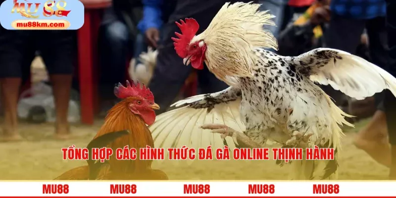 Tổng hợp các hình thức đá gà online thịnh hành