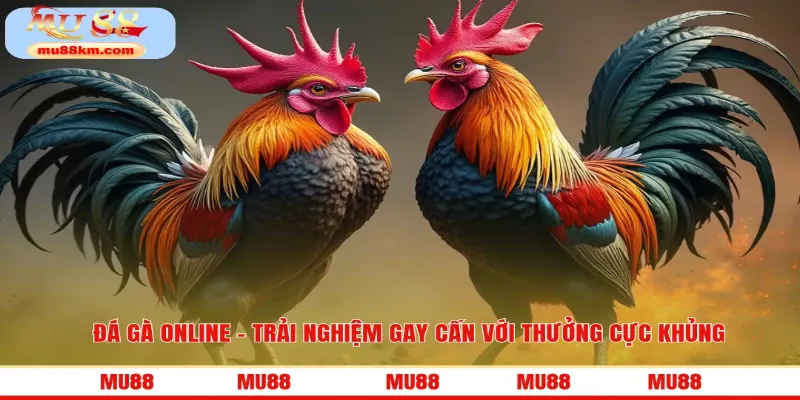 Thế giới đá gà online mở ra không gian giải trí kịch tính