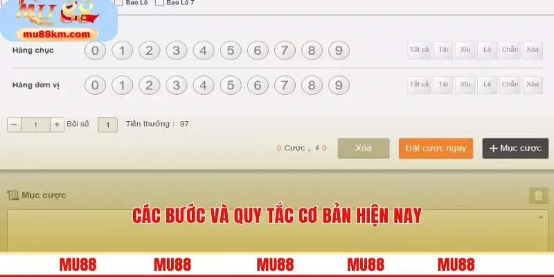 Các bước và quy tắc cơ bản hiện nay