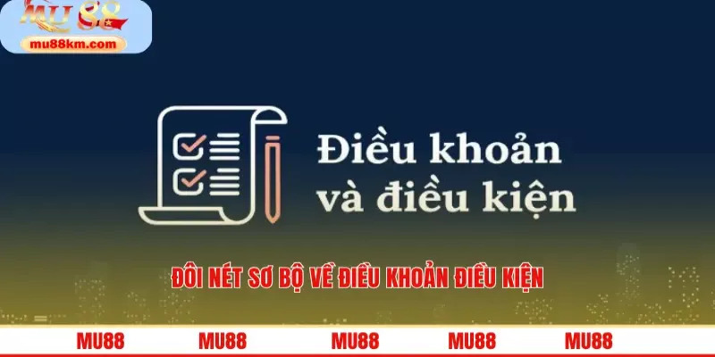 Đôi nét sơ bộ về điều khoản điều kiện