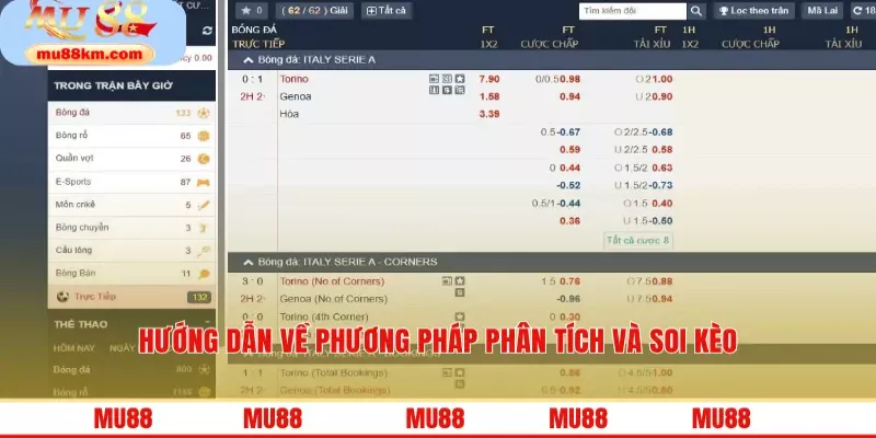 Hướng dẫn về phương pháp phân tích và soi kèo