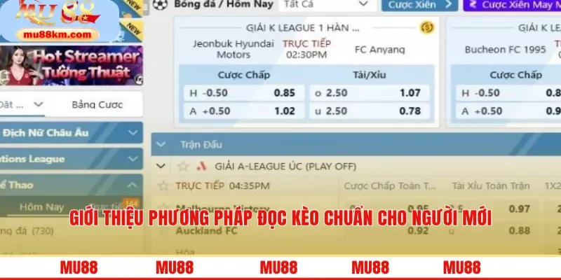 Kèo Nhà Cái Kinh Nghiệm Tối Ưu Chiến Lược Cá Cược Trực Tuyến 3 Giới thiệu phương pháp đọc kèo chuẩn cho người mới