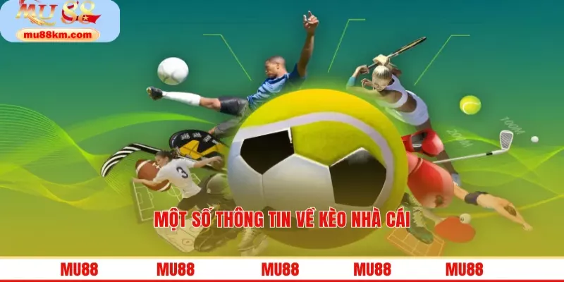 Kèo Nhà Cái Kinh Nghiệm Tối Ưu Chiến Lược Cá Cược Trực Tuyến 2 Một số thông tin về kèo nhà cái