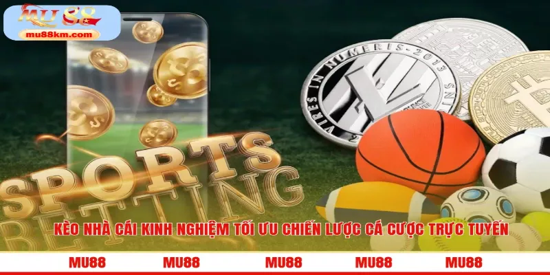 Kèo nhà cái là nền tảng không thể thiếu trong trải nghiệm giải trí trực tuyến