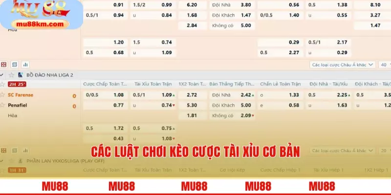 Kèo Tài Xỉu – Bí Quyết Chinh Phục Cá Cược Bóng Đá Từ A Đến Z 3 Các luật chơi kèo cược tài xỉu cơ bản