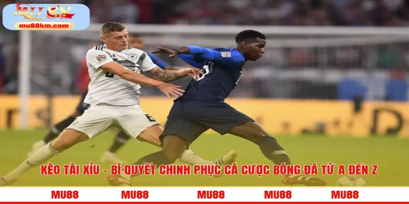 Kèo Tài Xỉu thực sự là lựa chọn lý tưởng cho cả người mới bắt đầu