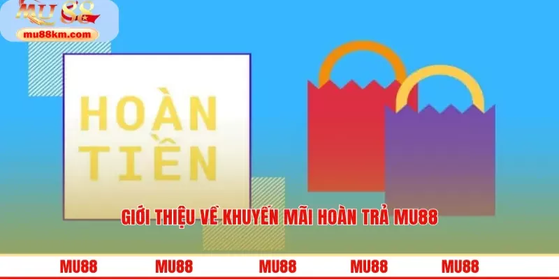 Khuyến Mãi Hoàn Trả Siêu Lợi Nhuận Từ Nền Tảng Hàng Đầu 2 Giới thiệu về khuyến mãi hoàn trả MU88