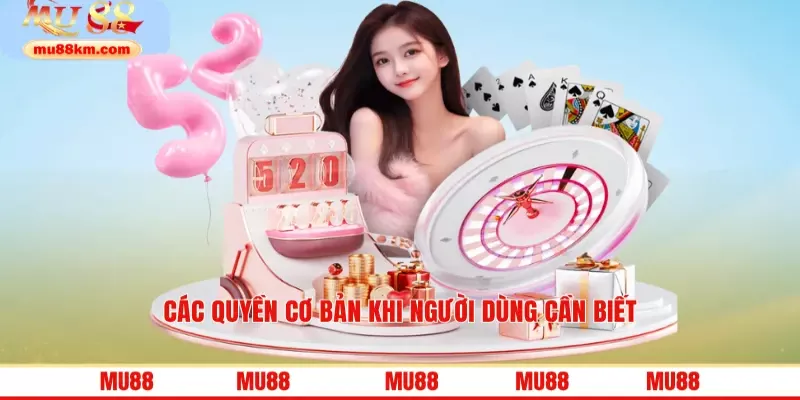 Các quyền cơ bản khi người dùng cần biết