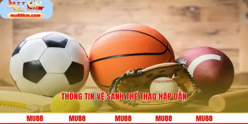 Thông tin về sảnh thể thao hấp dẫn